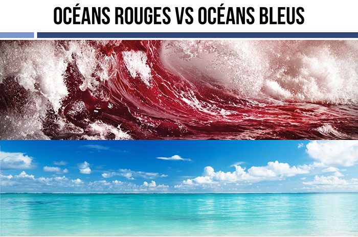 Stratégie Océan Bleu : une réponse efficace à la saturation des marchés