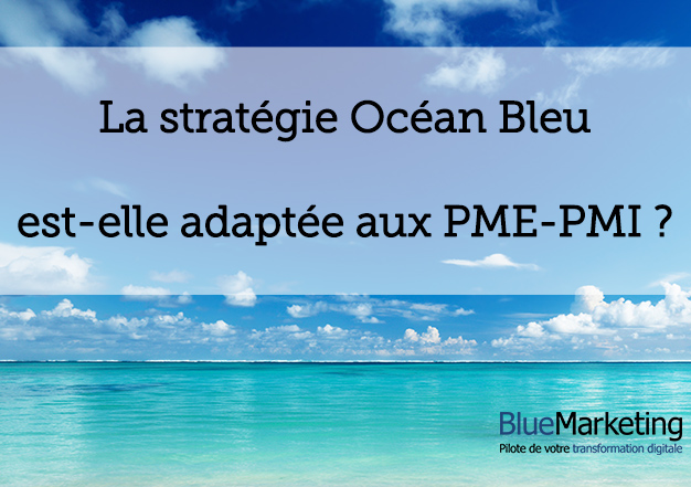 La Stratégie Océan Bleu : Une Solution pour les PME-PMI ?