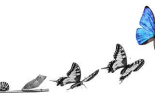 transformation-digitale