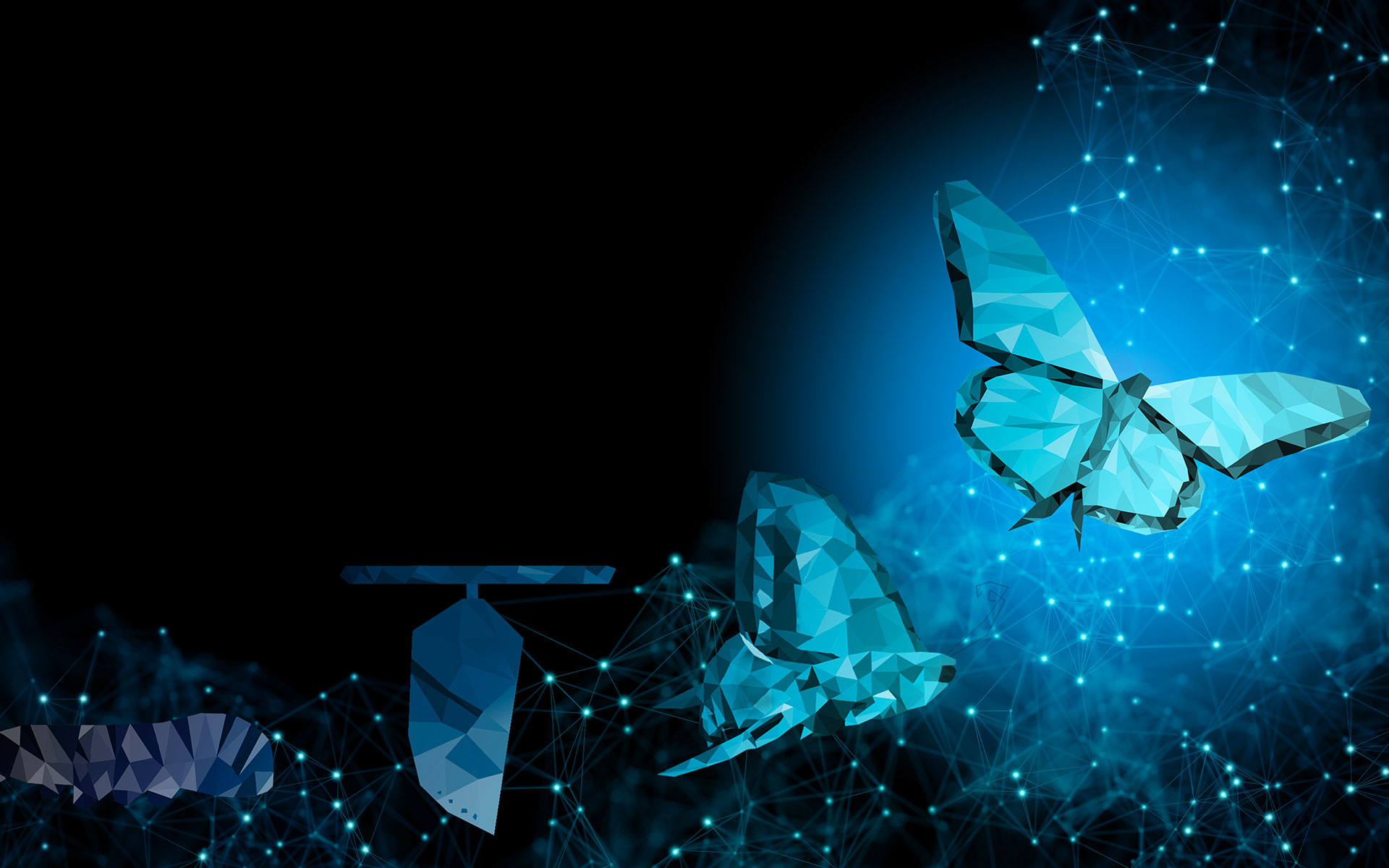 Transformation digitale des PME : 14 raisons de l’initier