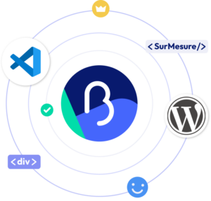 Développement sur mesure wordpress bluemarketing